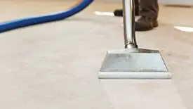Carpet cleaning wand head gliding over a light carpet during hot-water extraction, Fargo, ND.