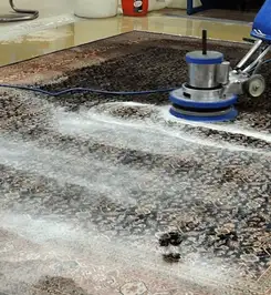 Professional rug cleaning with a rotary floor machine and shampoo foam, deep-cleaning an area rug Fargo, ND.